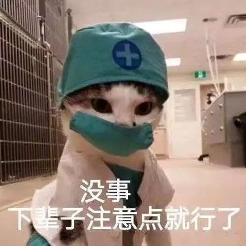 猫猫表情包