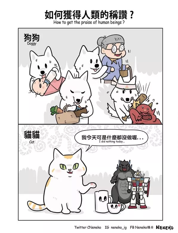 猫猫狗狗那些事-如何获得人类的称赞